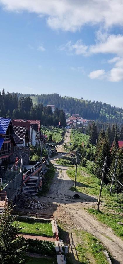 Pensiunea Alpin Rânca Zewnętrze zdjęcie